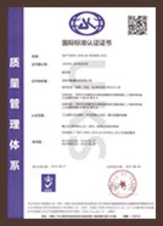 质量管理体系中文证书